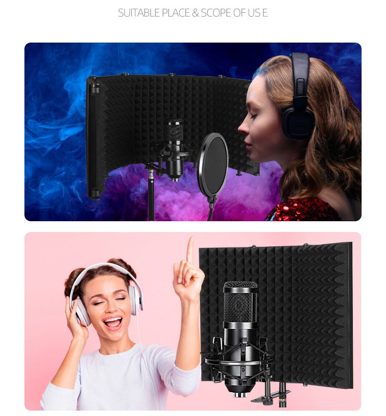 Bouclier d'isolation de microphone portable, bouclier insonorisant pour micro, mousse insonorisante, filtre de réflexion, audio statique