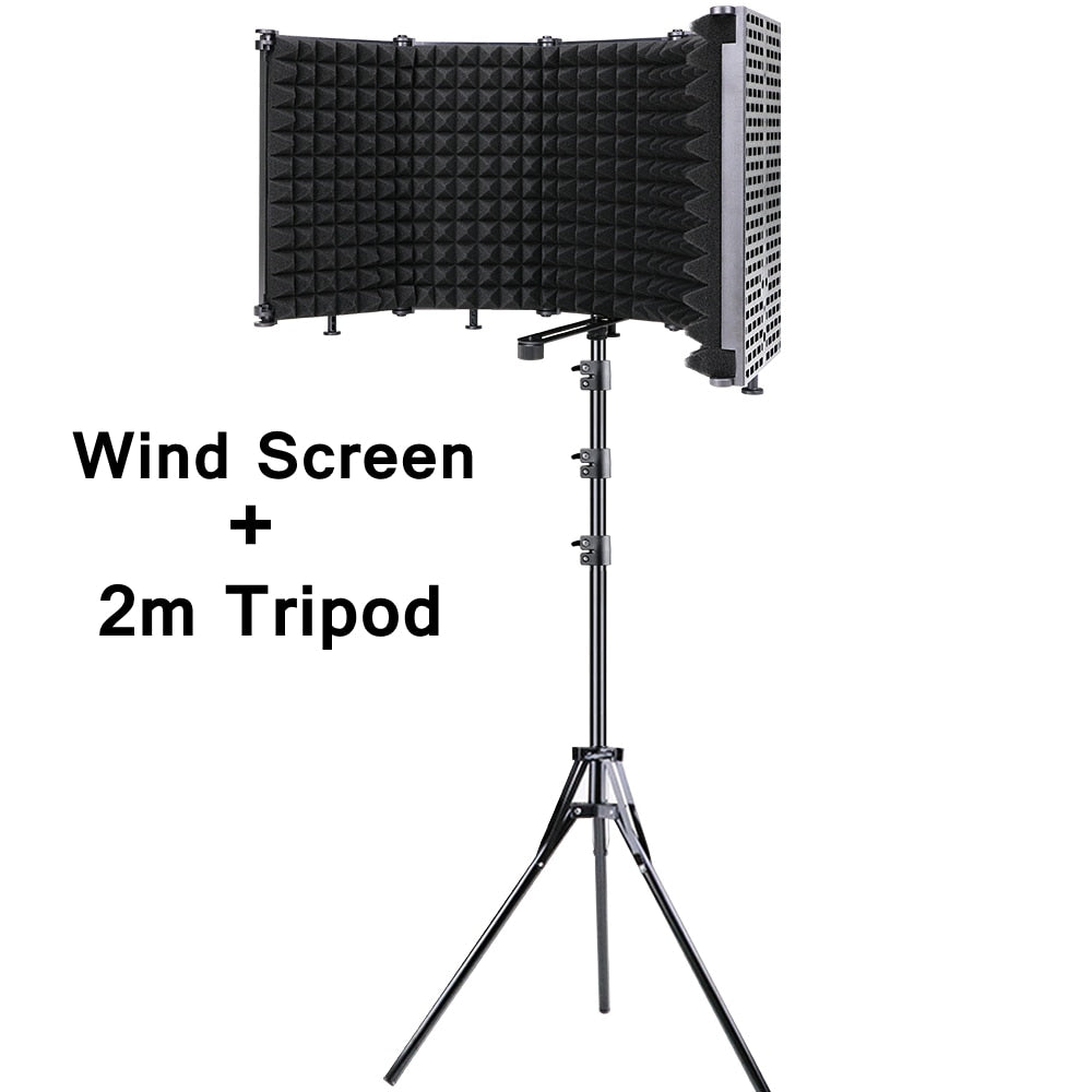 Bouclier d'isolation de filtre anti-pop pour microphone à condensateur avec support Microphone de studio Panneaux de mousse acoustique pliables pour A6V